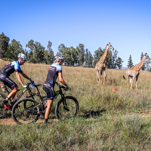 MTB Feat | Biogen SA | SA's Premier MTB Races are coming to town