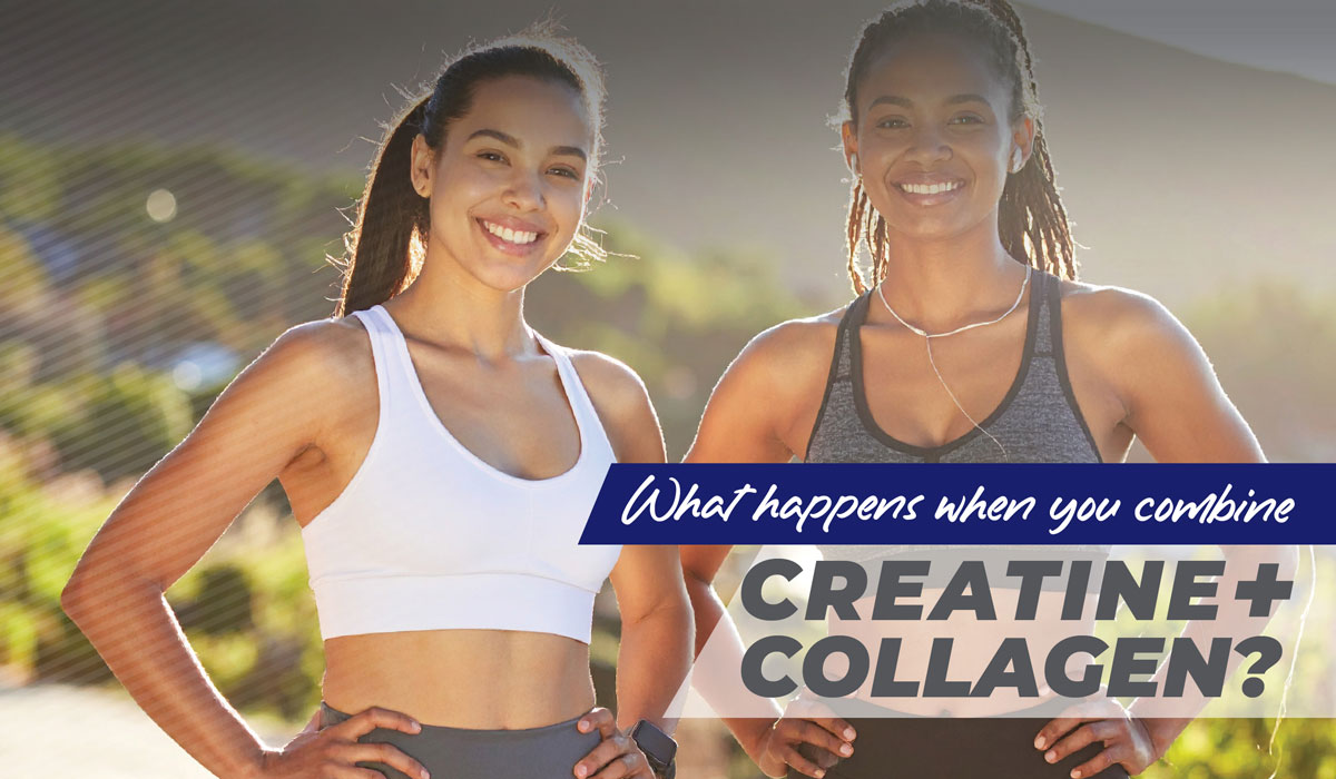 creatine and collagen