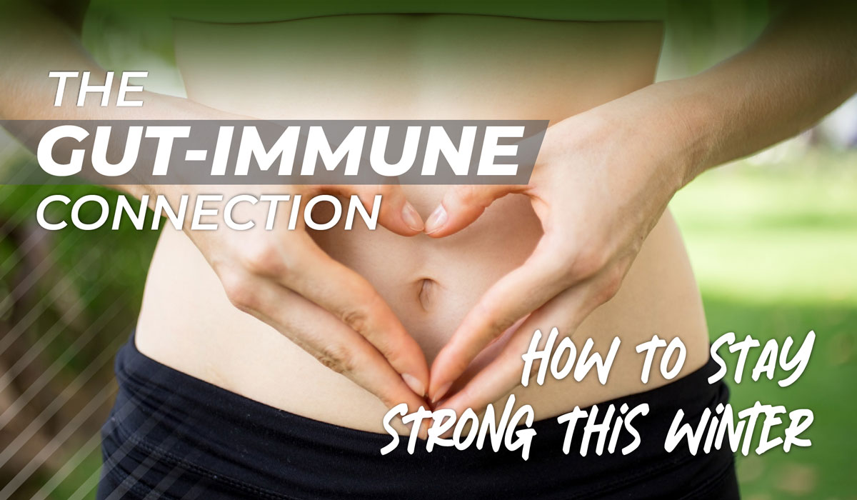 gut-immune connection