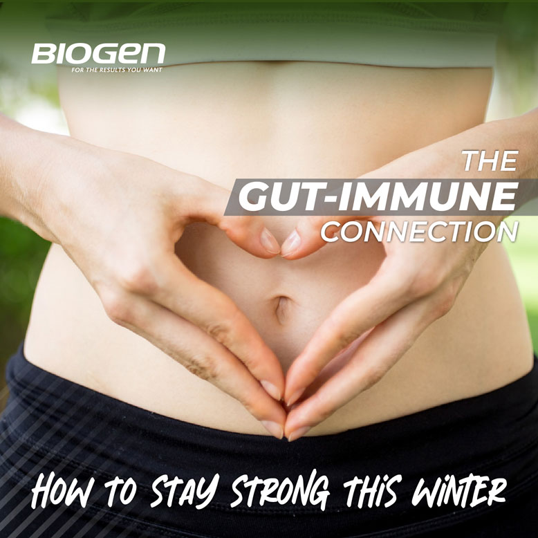 gut-immune connection