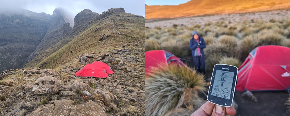 Biogen Wellness Pack