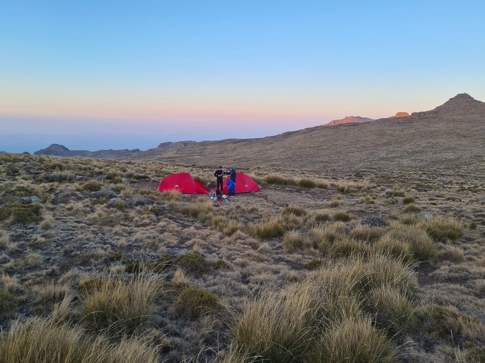 Biogen Wellness Pack